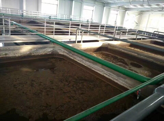 生豬屠宰污水處理設備